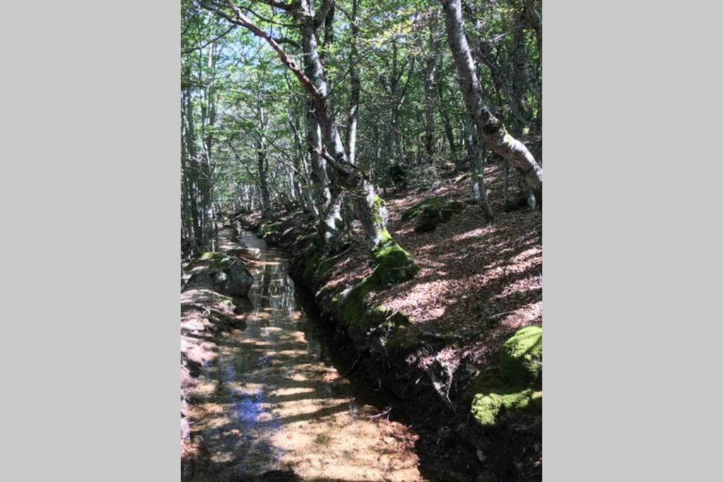 La Pellegrine, Parc National Des Cevennes Vila Le Salson Exterior foto